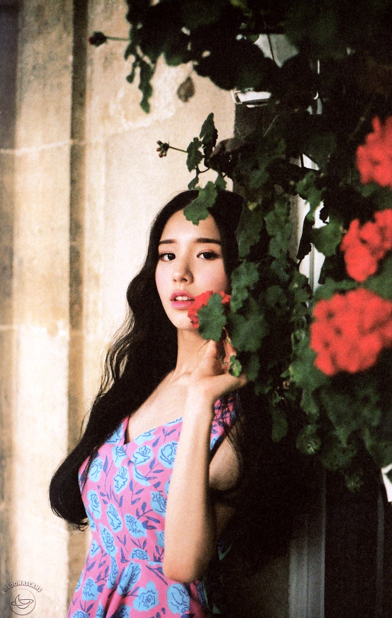 Heejin amongst red flowers.